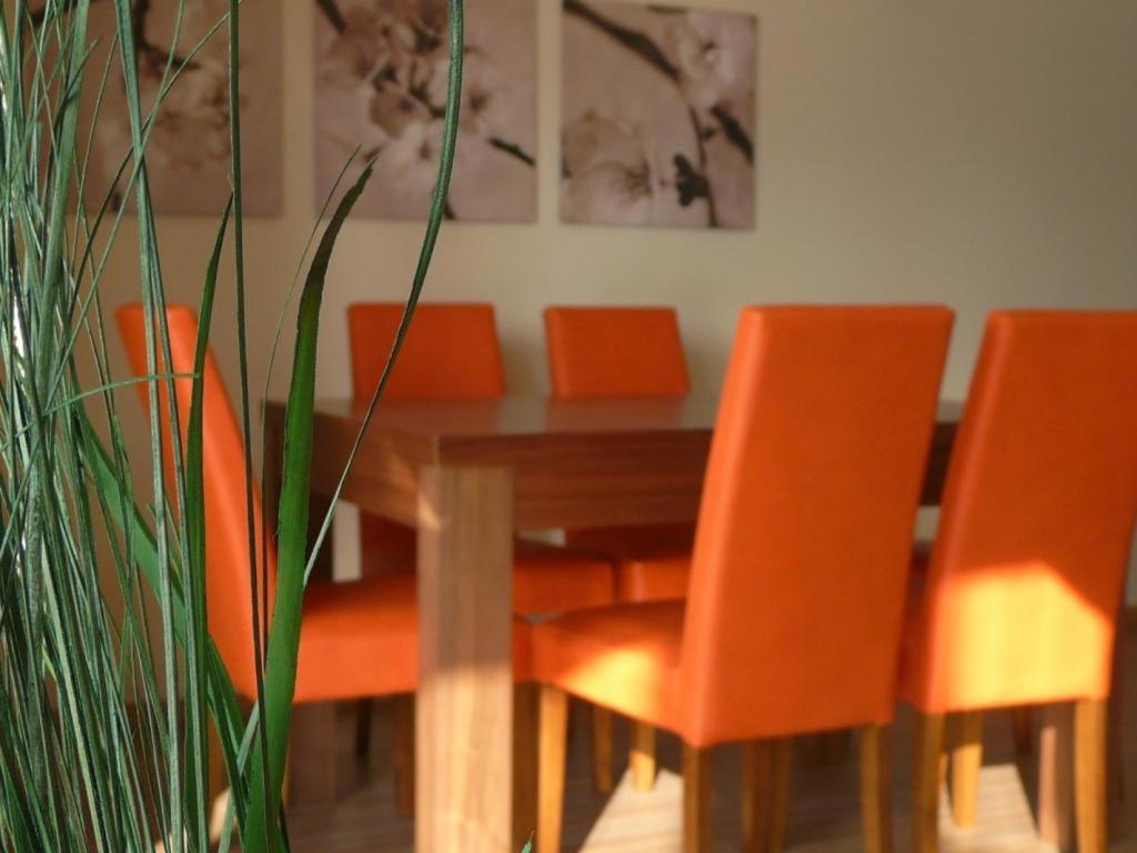 Apartamenty Wislany Brzeg 乌斯特龙 外观 照片